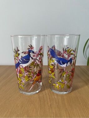 Vintage Bird Floral Glass Tumblers 60s 70s France Set of Two